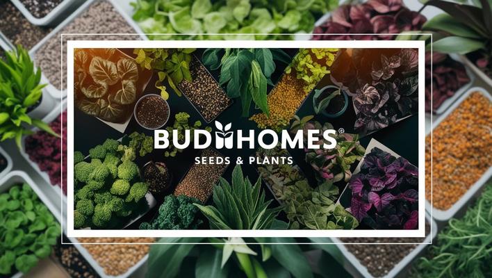 A welcome banner for BudiHomes Booth