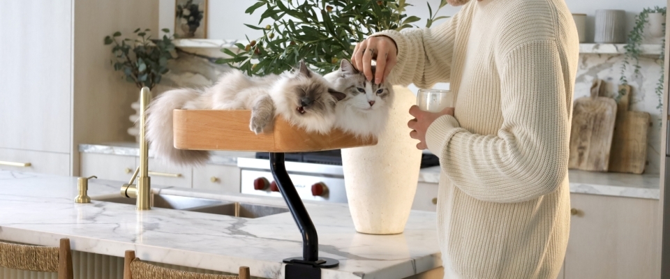 A welcome banner for ERGO PURRCH™