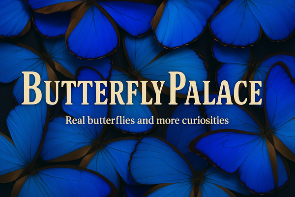 A welcome banner for ButterflyPalace