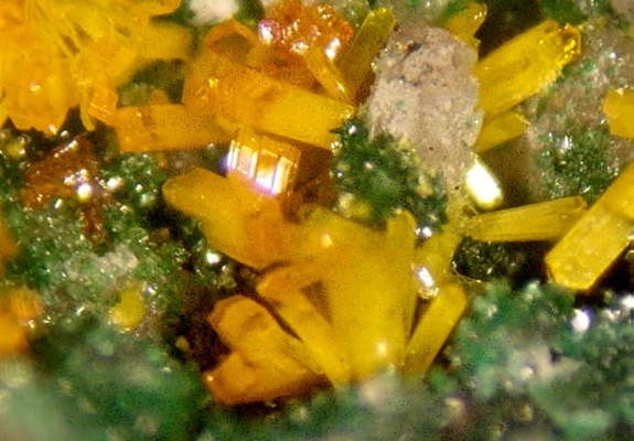 A welcome banner for CatalinaMinerals - Uranium and Rare Species