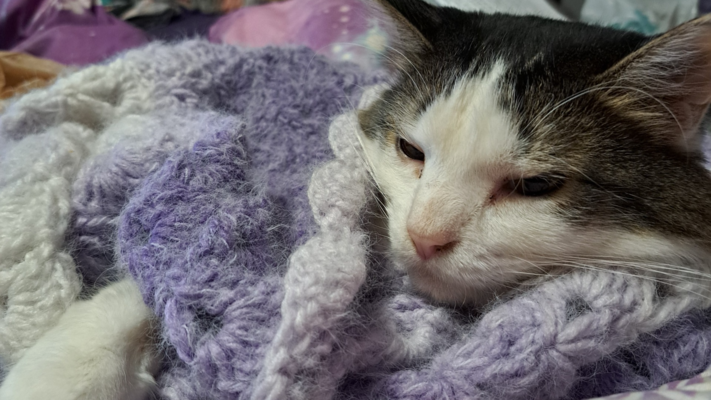 A welcome banner for DeniseLonsdorf 