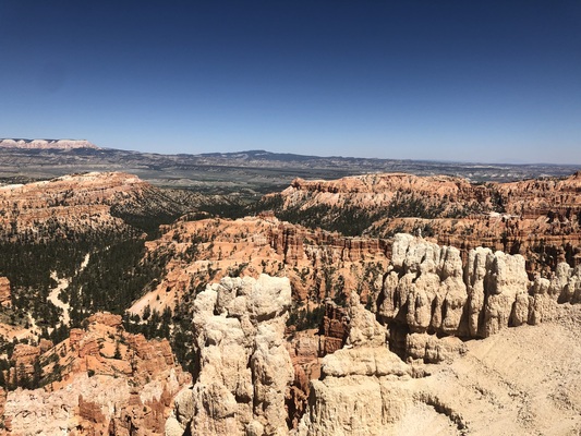 A welcome banner for Ben's store
