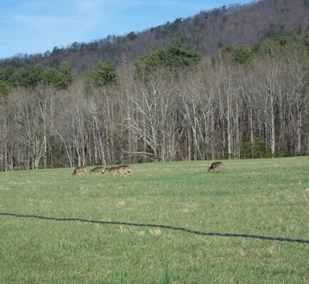 A welcome banner for EdLins Stuff