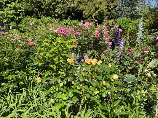 A welcome banner for flowerandtreeseeds's booth