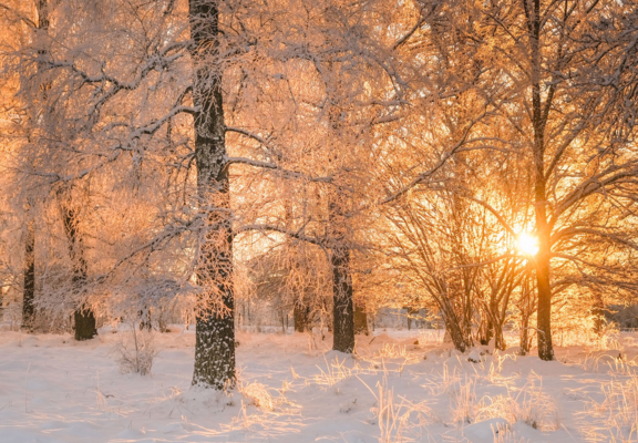 A welcome banner for WestlakeSales