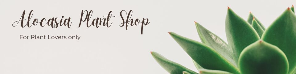 A welcome banner for Nuwan's store