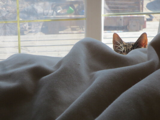 A welcome banner for Ted's store