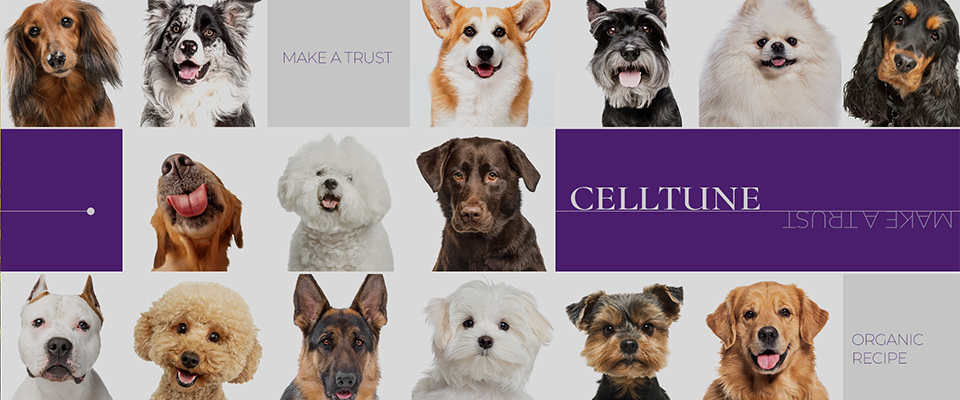 A welcome banner for CELLTUNE