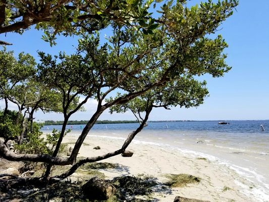 A welcome banner for DazzleInTyme