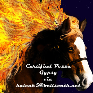 Certified posse gypsy through haleak5  2 