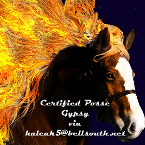 Certified posse gypsy through haleak5 2