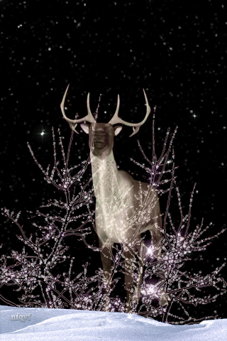 Image result for MAGIC DEER ANIMATED GIF