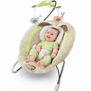 Preview image of a Baby Gear item