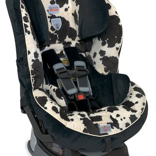 Preview image of a Car Safety Seats item