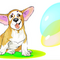corgidogz08's profile picture