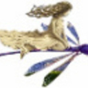 DragonflyTreasure's profile picture