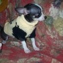TidBits's profile picture