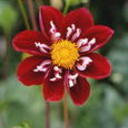 Boutique55's profile picture