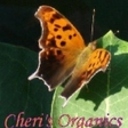cherisorganics's profile picture
