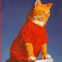 CybercatsPaper's profile picture