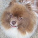 mboxcrazy's profile picture