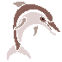 jumpingdolphin's profile picture