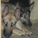 Dora&Delen's profile picture