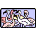 flamingogal's profile picture