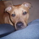 lalilmae's profile picture