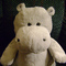 erudite's profile picture
