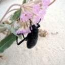kathryncrawford's profile picture