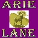 ARIE's profile picture
