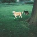 harleyd911's profile picture