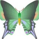 ButterflyBliss's profile picture