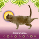 tiramisu's profile picture