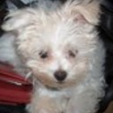 mimi*1044's profile picture