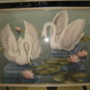 Moonshadow's profile picture