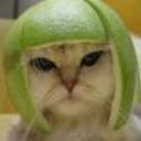 kitschywoman's profile picture