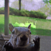 FindersCove's profile picture