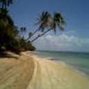 SalesCaribe's profile picture