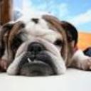 natasbong's profile picture