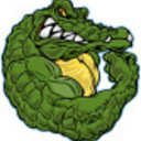 gators2's profile picture