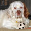 db'sGlass's profile picture