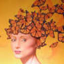 aisha0808's profile picture