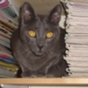 dollface2812's profile picture