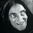 shoo's profile picture
