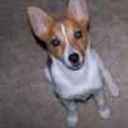 karenb611's profile picture