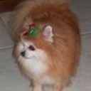 sjhawthorne's profile picture