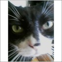 kjhatala's profile picture