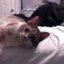Kikimuffin's profile picture
